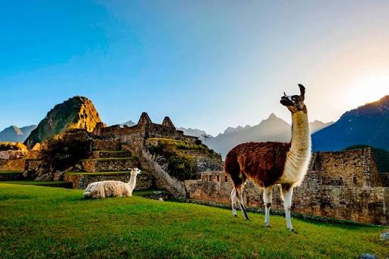 GPS y Rastreo Satelital en Cusco - Zonar
