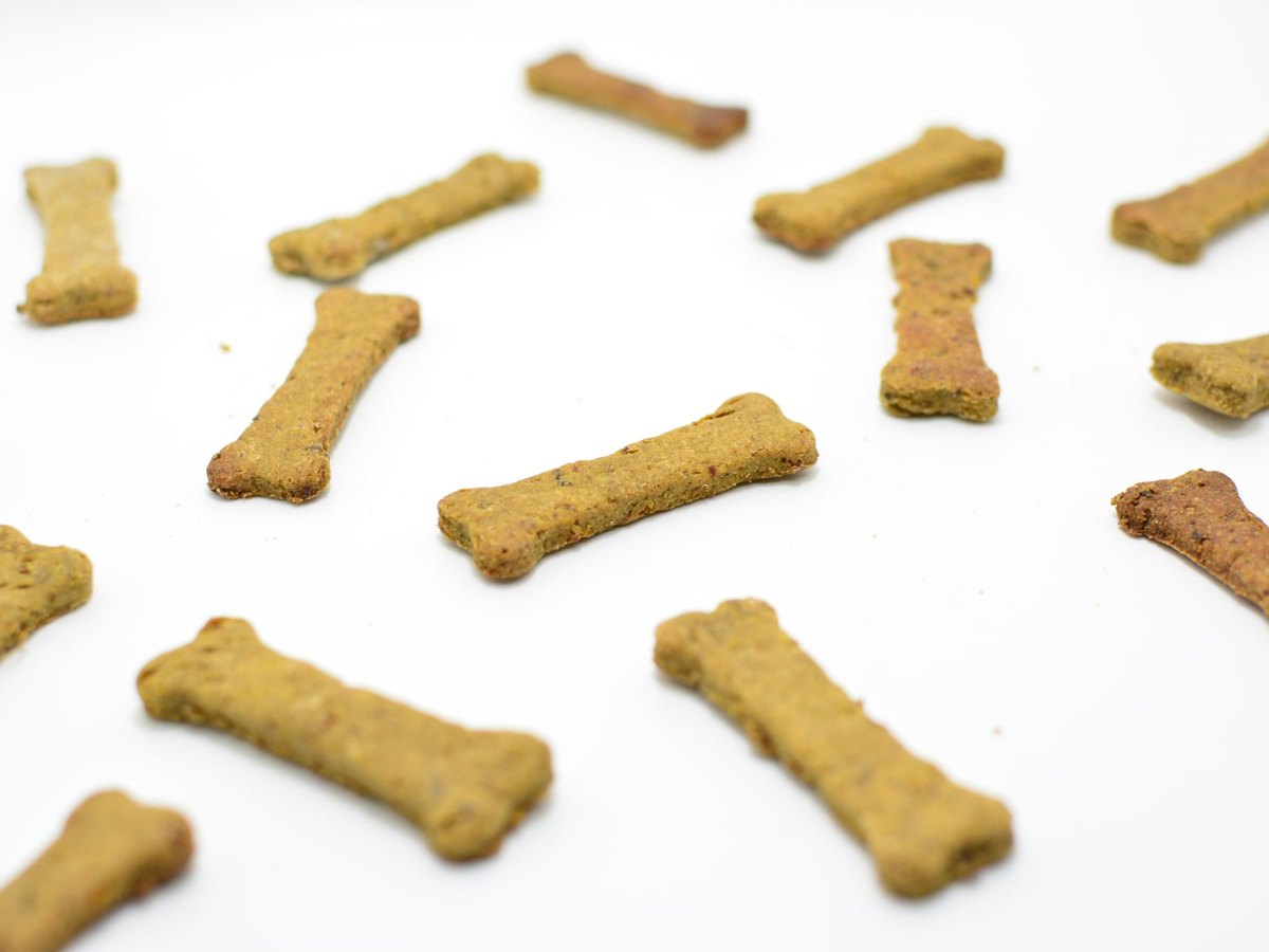 Mostrador de madera clara de una tienda de mascotas con frascos de galletas, una balanza y bolsas de alimento a granel, visto de frente con luz natural
