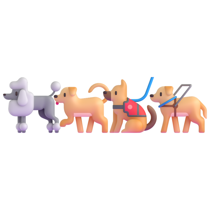 Ilustración de la cifra