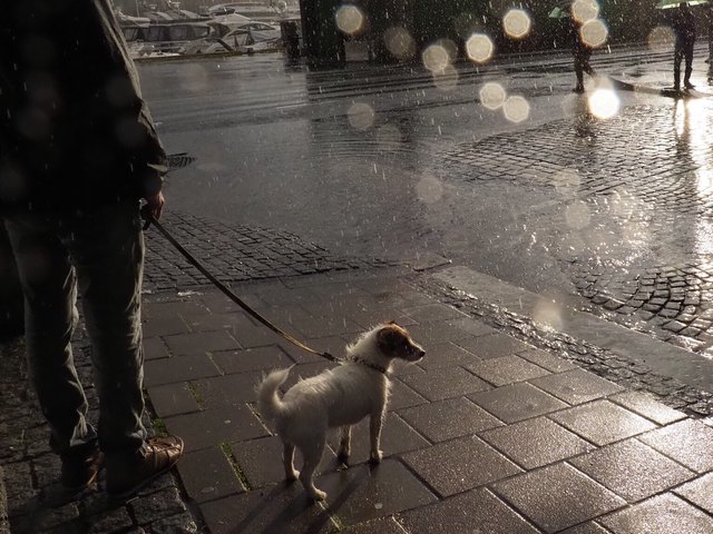 Foto del artículo