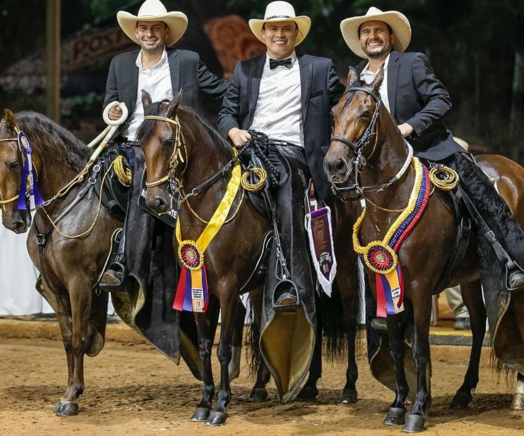 Imagen del negocio o experiencia ecuestre