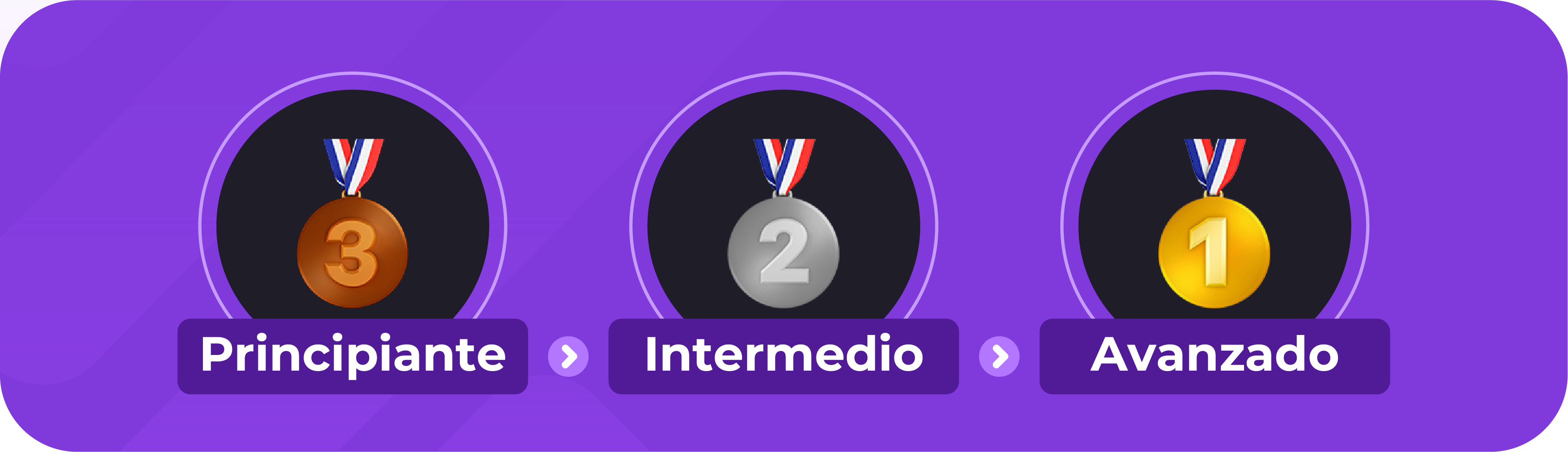 Niveles de aprendizaje de Academy.