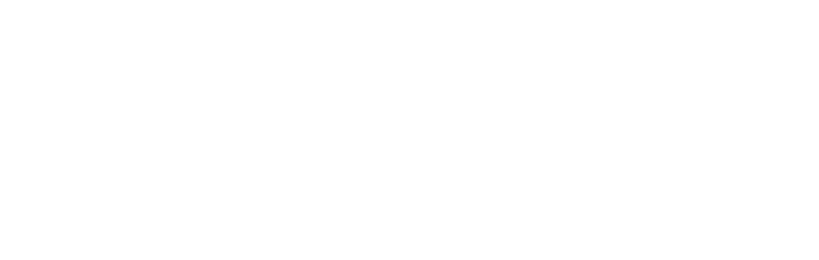 Punto cell shop