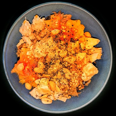 Plato metálico para perro lleno de pollo desmenuzado, arroz y zanahoria, visto desde arriba sobre fondo azul rey