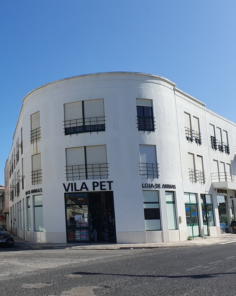 Fachada de una tienda de mascotas en una esquina de barrio, vista de frente: puerta de vidrio abierta con marco pintado de verde intenso, toldo crudo, materas con plantas y un perro pequeño sentado junto a un plato de agua en la entrada, a plena luz del día, sin letreros legibles