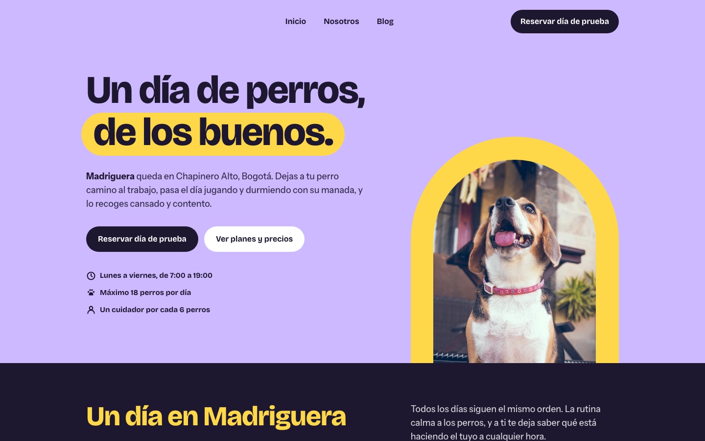 Miniatura del theme madriguera