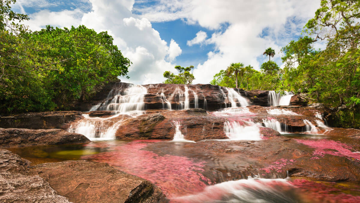 Caño Cristales: conoce el río de los 7 colores en Colombia
