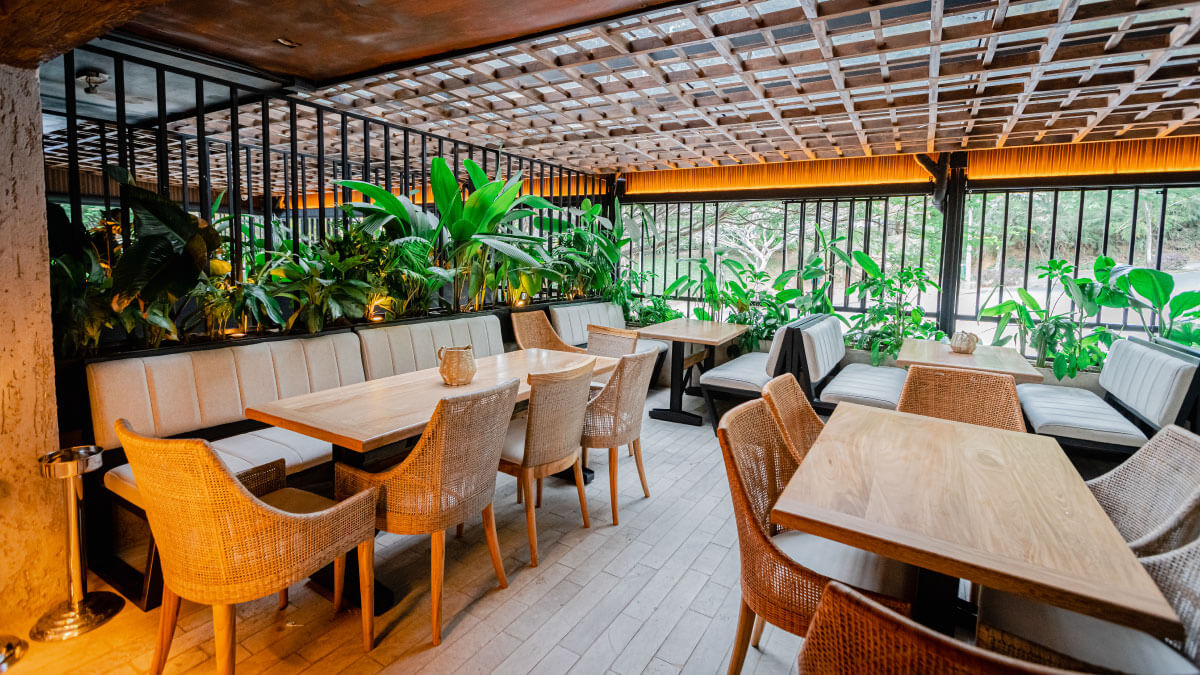 ¿Cómo destacar tu restaurante en TripAdvisor?